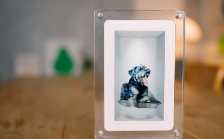 This Digital Picture Frame Wants to Bring People Closer to a Holographic Future