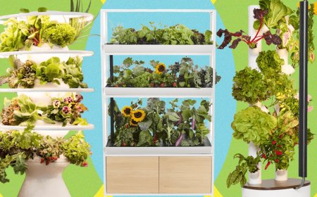 Best Indoor Garden Systems: We’ve Been Testing All Year (2026)