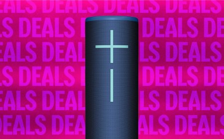 Our Favorite Backyard Bluetooth Speaker Is $25 Off