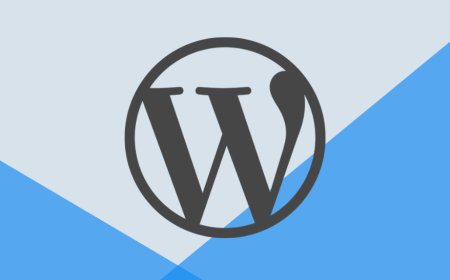 'It’s a WordPress that stays with you': WordPress can now run within your browser, letting you build private websites not on the public web