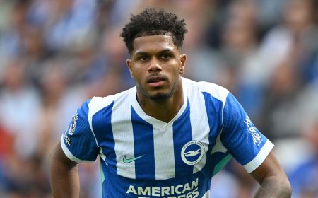 Sunderland vs Brighton Live Streams: How to watch Premier League 2025-26 from anywhere in the world