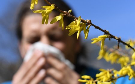 Do you live in one of the 2026 'allergy capitals' of the US?