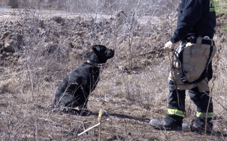 Kansas fire investigators get hands‑on training to better determine fire origins