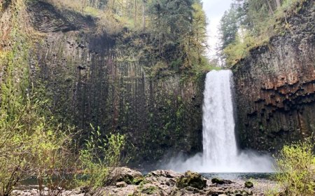 An iconic Oregon waterfall was put up for sale on Redfin. Here's who bought it