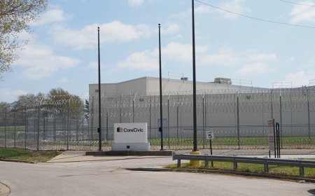 Nick’s Picks | Sports, Immigration, Booze and More …