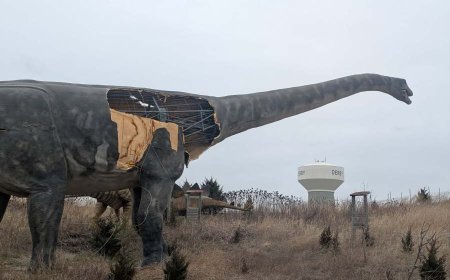 'Poor Sauroposeidon': Windstorm damages Derby dinosaur attraction