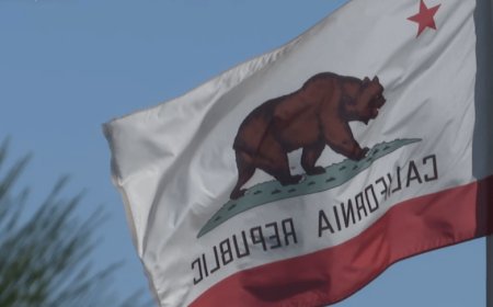 Woman injured by bear while walking her dog in California