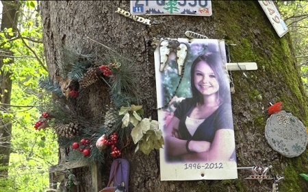 Why are people so fascinated by true crime? Professor weighs in