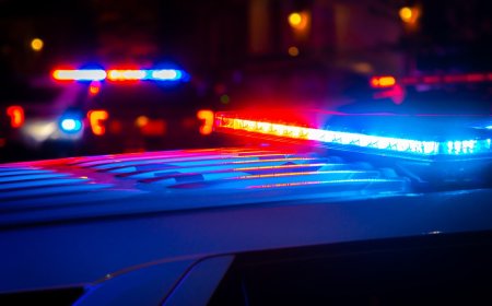 Ozark County man arrested after striking victim with vehicle