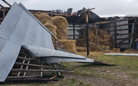 Sunday storms cause damage in parts of Missouri
