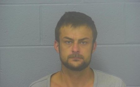 Springfield man sentenced for hijacking car in front of deputy