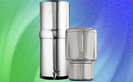 Boroux Versus Rorra Countertop Water Filters, Tested Head to Head