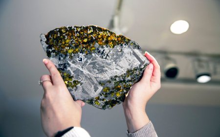 Think you found a meteorite? Don't touch it – do this instead