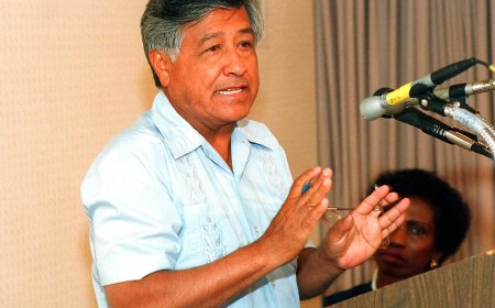 Cesar Chavez's family releases statement following sexual assault, abuse allegations