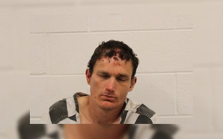 Monett man faces multiple charges in domestic assault case