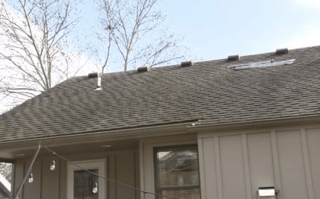 Homeowners in dispute with State Farm over roof repair