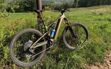 Best Electric Mountain Bikes (2026): Specialized, Cannondale, Salsa