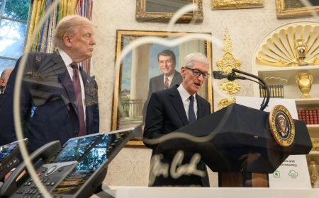 ‘I’m not political’: Tim Cook says his 24-karat gift to Trump wasn’t a political statement, but that Apple is a ‘proud American company’