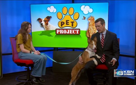 Pet Project: Forget Coke or Pepsi, try Bloxy Cola