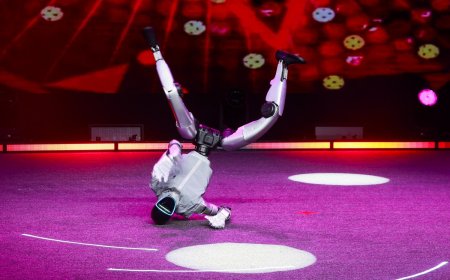 Employees had to restrain a dancing humanoid robot after it went wild at a California restaurant