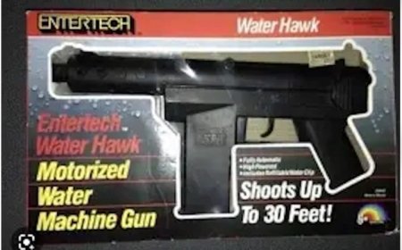 ‘Senior assassin’ prank prompts North Carolina school lockdown, arrest