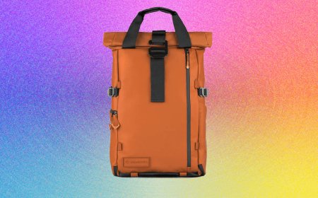 16 Best Camera Bags, Slings, Straps, and Backpacks (2026), Tested and Reviewed