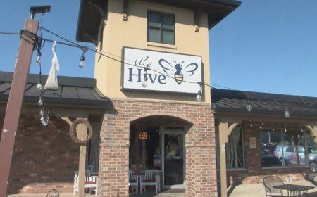 Serving the Ozarks: The Hive in Willard