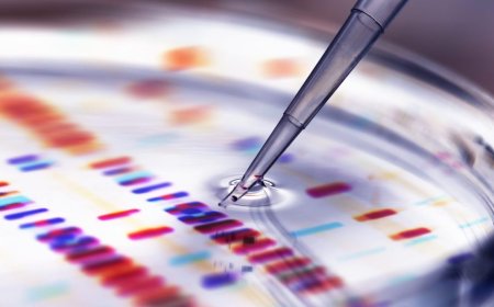 Why scientists can’t get a laugh