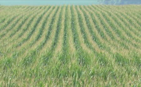 Sen. Roger Marshall introduces bill aiming to combat rising fertilizer prices