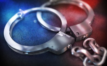 Wichita man arrested in fatal hit-and-run near Sedgwick County Zoo