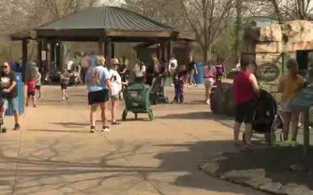 Record heat brings summer feel to the Kansas City Zoo & Aquarium