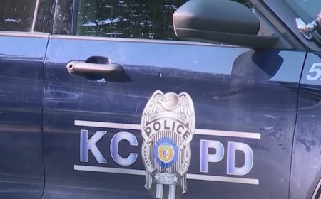 Police investigate early morning fatal crash