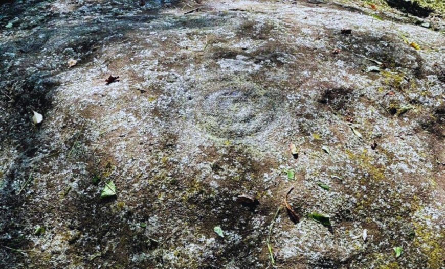 A 1,000-Year-Old Rock Covered in Human Tracks Was Found in Ohio, and Its Origins Remain Unclear
