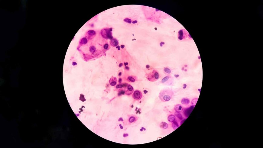 It’s not your brain or your face where youth hides — Scientists now say your stomach can reveal your true biological age and what that means for longevity