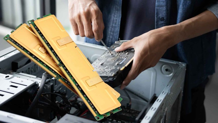 $1,400 for four pieces the size of a finger: that’s how this piece became the new goose that lays the golden eggs