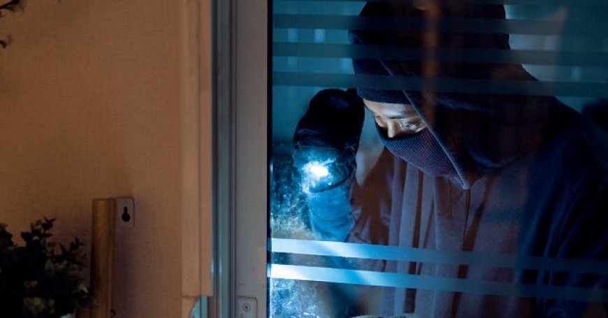 Report: Michigan Cops Nab Another South American Migrant Burglary Gang