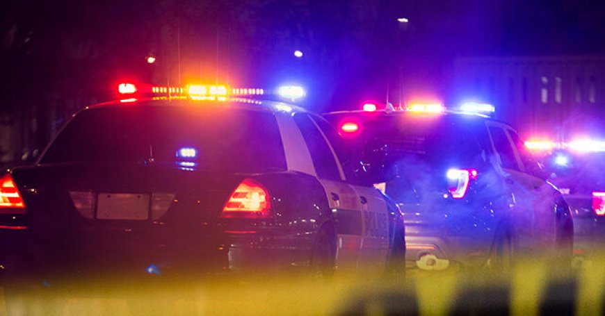 South Dakota Resident Awakes to Noises, Shoots Alleged Intruder