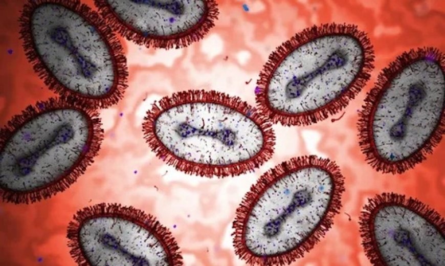 Congress Introduces Bill to Federally Control DNA Used to Create Deadly Pandemics