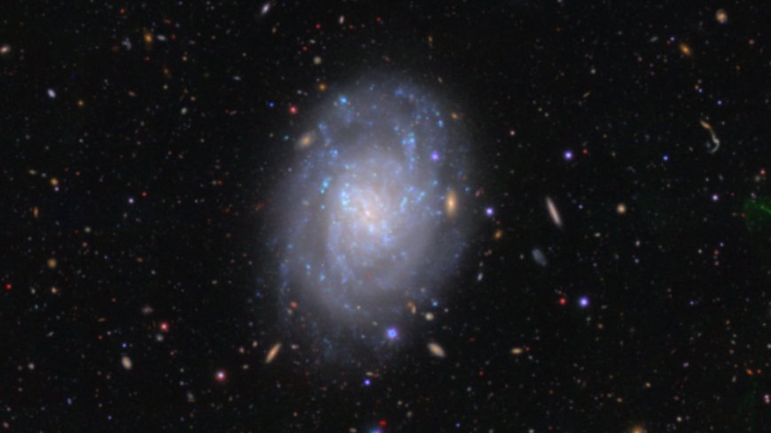 Spiral galaxy is a stunning cosmic wheel in head-turning image | Space photo of the day for March 3, 2026