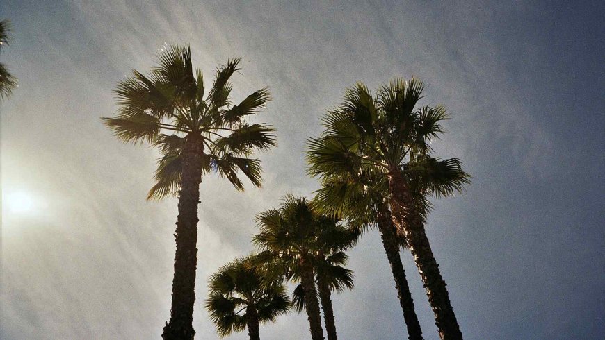 It will feel like June before Easter — NOAA warns 11 states of exceptionally high temperatures