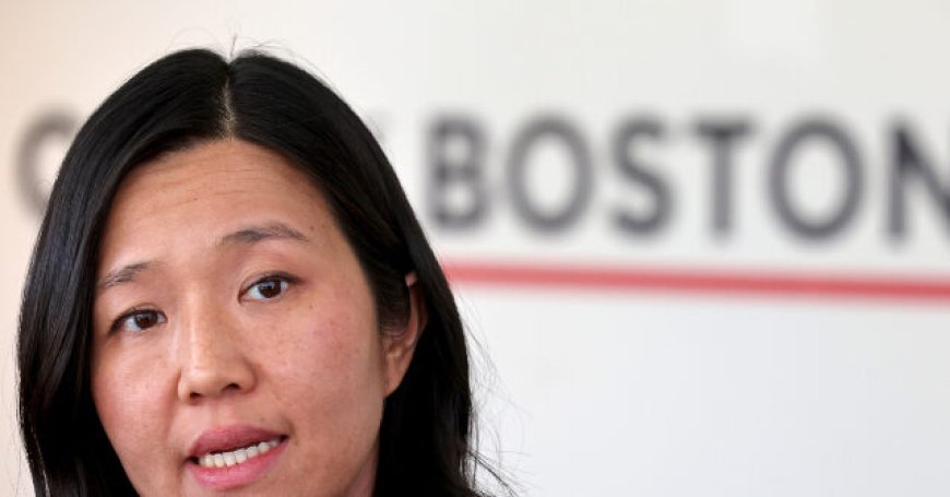 ICE Director Todd Lyons: 'Politically Motivated' Boston Police Ignored 167 Immigration Detainer Requests