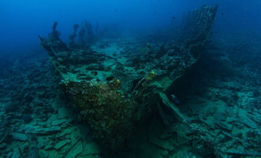 Scientists Found Two 170-Year-Old Bottles of Beer in Shipwreck, Are They Still Good to Drink?