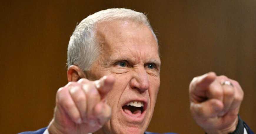 GOP Sen. Tillis Compares Kristi Noem's DHS Leadership to Her Killing Her Dog