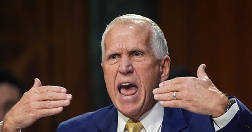 WATCH: Retiring Republican Thom Tillis Complains About Too Many Deportations, Calls Kristi Noem's Leadership 'a Disaster'
