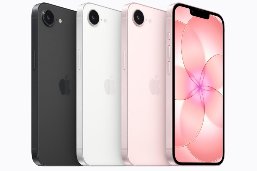 Apple's latest budget phone is actually an excellent value — here's how it compares