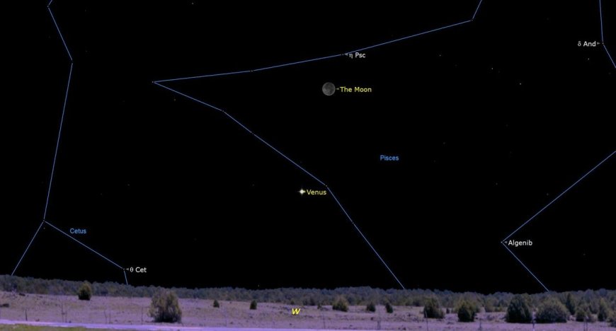 The brightest planets in March's night sky: How to see them (and when)