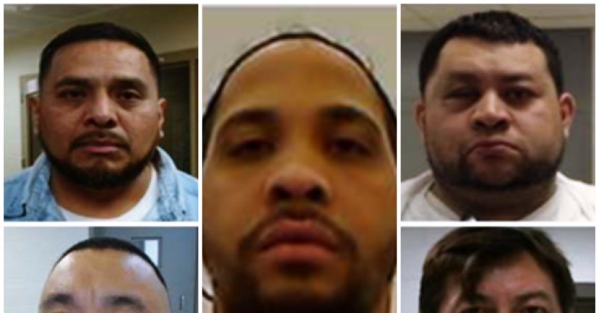 ICE Agents Arrest Illegal Alien Sex Offenders, Rapists, Fentanyl Dealers in Sanctuary Cities