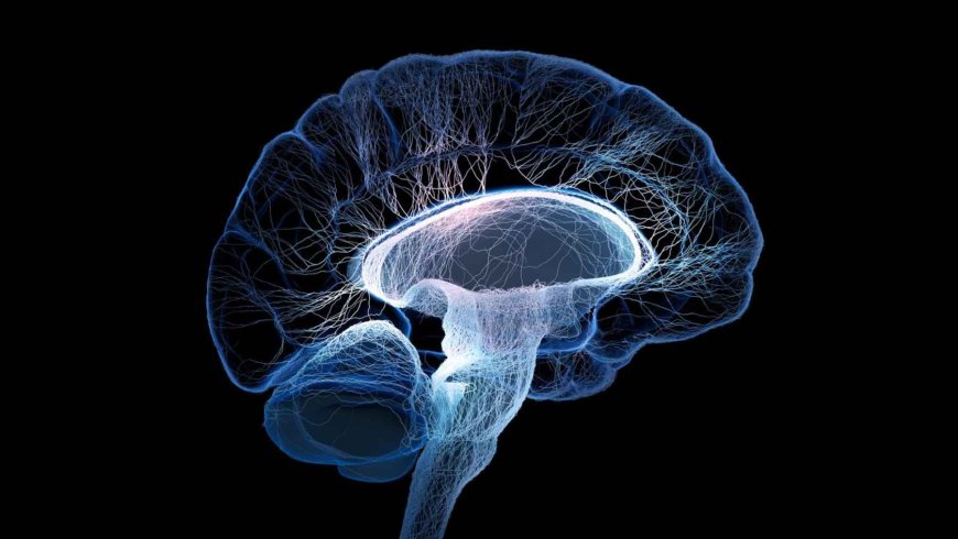 Aging changes the fate of your cells, and now we know how to reverse it