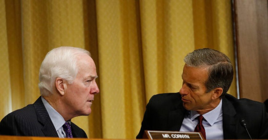 Thune’s Right Hand Man Undercuts Cornyn Consolidation with Broadside Against Hundreds of Thousands of Texans