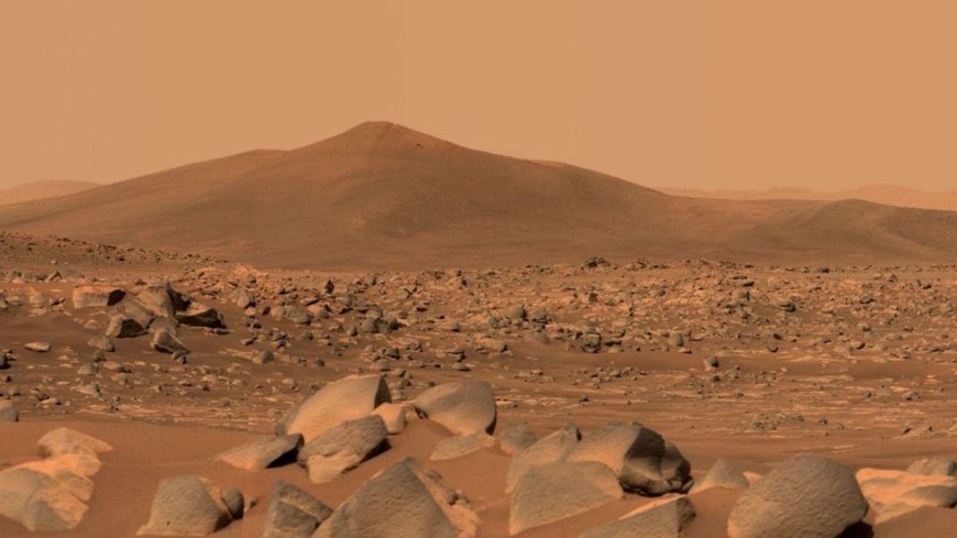 'War of the Worlds' in reverse? Mars dirt could help fight off a microbial invasion from Earth